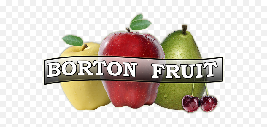 Chelan Fresh And Borton Fruit Combine To Offer Year - Around Borton Sons Inc Emoji,Fruit Logo