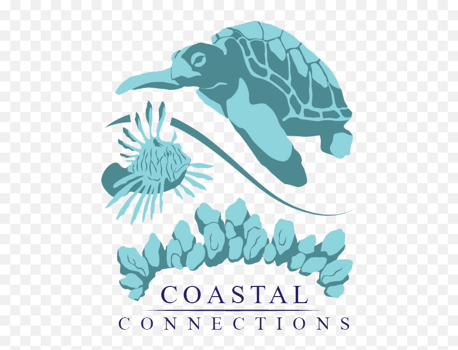 Coastal Connections Emoji,Connections Logo
