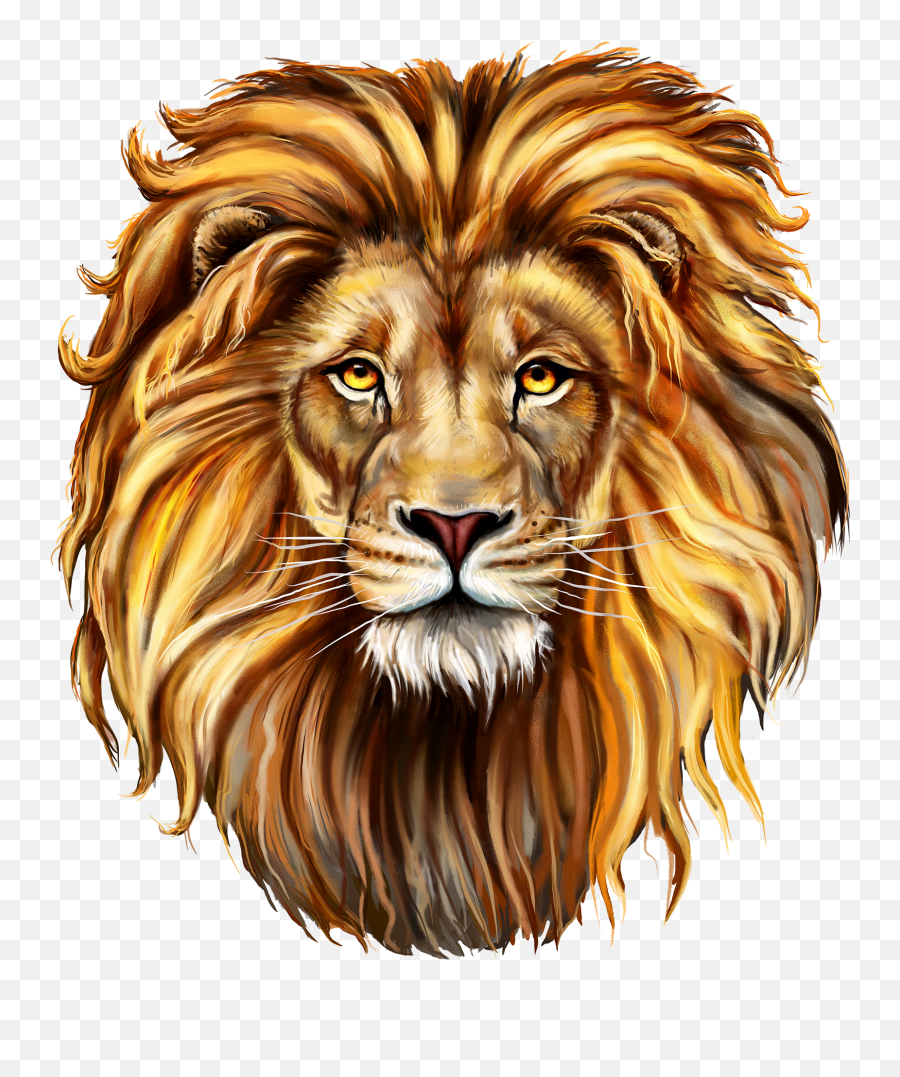 Lion Png Image - Lion Face Emoji,Lion Png