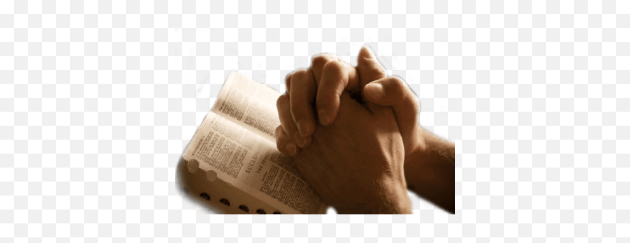 Praying Hands Png - Transparent Background Prayer Png Emoji,Praying Hands Png