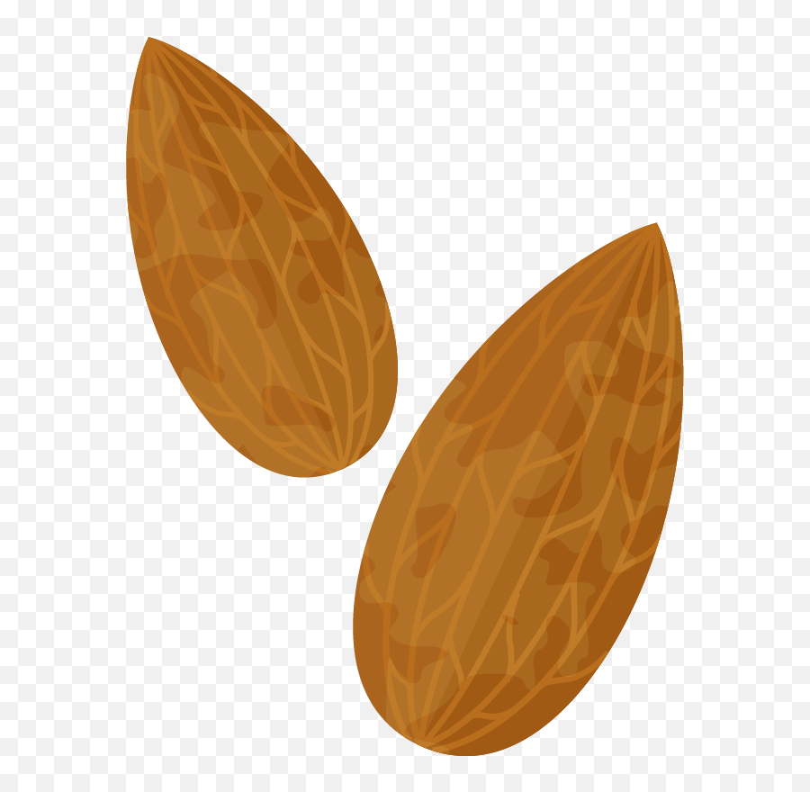 Download Hd Almond Png Clipart Image 01 - Almond Png Transparent Background Almonds Animated Emoji,Animated Png