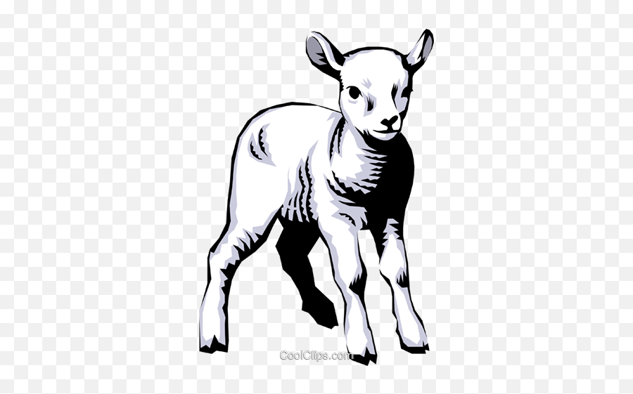 Download Lamb Royalty Free Vector Clip - Lambs Vector Png Emoji,Royalty Free Clipart