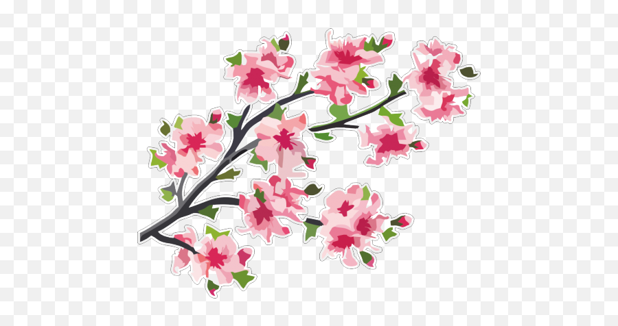 Japan Cherry Blossom Vector Graphics Branch - Japan Png Emoji,Cherry Blossom Branch Png