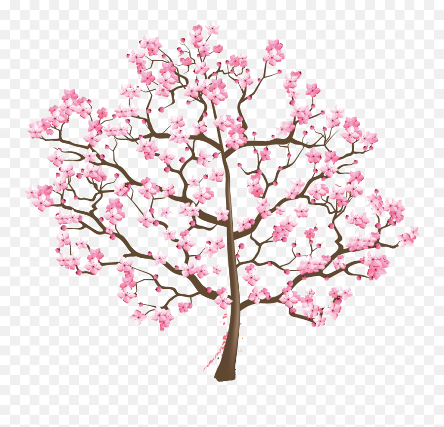 Cherry Blossom Tree Suzuki Association Of The Americas Emoji,Cherry Blossom Tree Png
