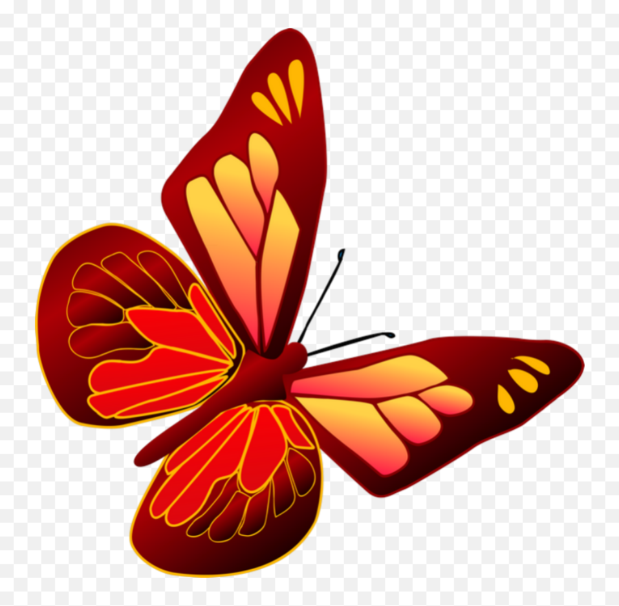 U2040butterfliesu203fu2040 - Clipart Butterfly Orange 800x800 Emoji,Clipart Of Butterfly