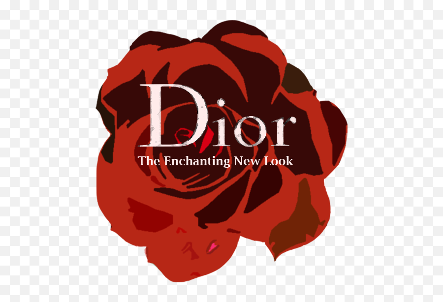 Christian Dior Exhibition - Dior Emoji,Dior Logo