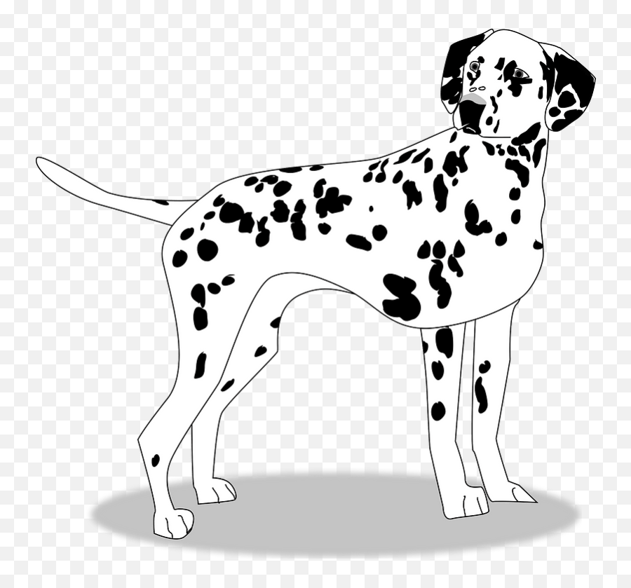 Dalmation Dog Clipart Free Download Transparent Png - Balck And White Dog Clipart Emoji,Free Dogs Clipart