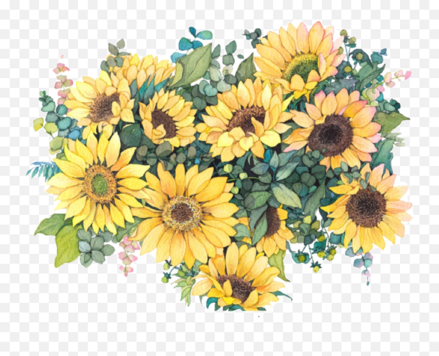 Download Sunflower Illustration Watercolor Common Flowers - Watercolor Aesthetic Sunflower Png Emoji,Painting Clipart