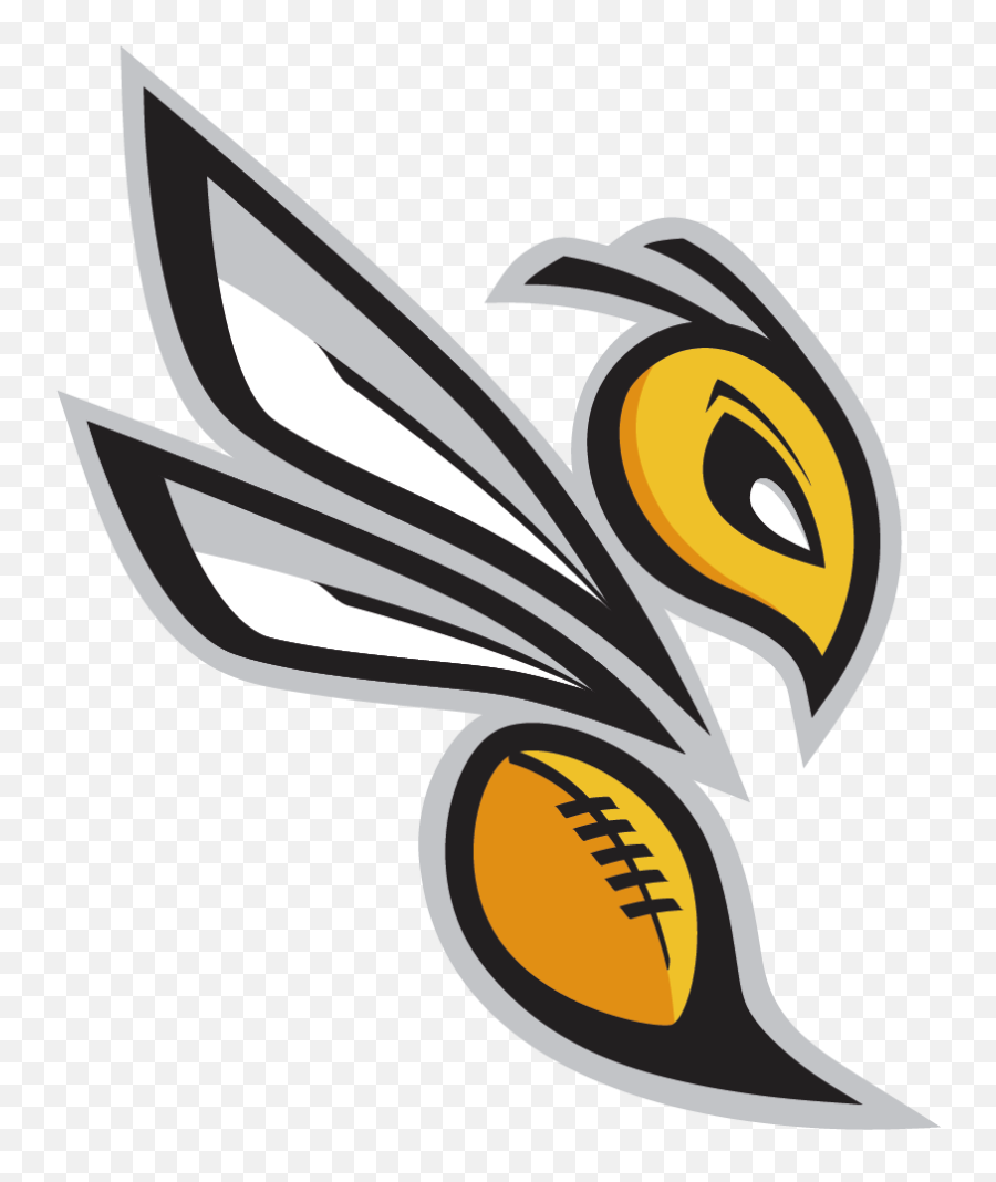 Download Logo - Transparent Hornet Logo Emoji,Hornets Logo