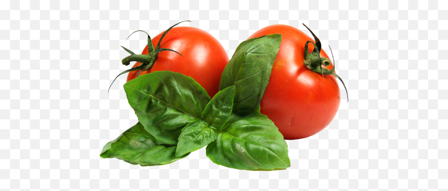 Tomato Png Transparent Images - Tomato Png Emoji,Tomato Png