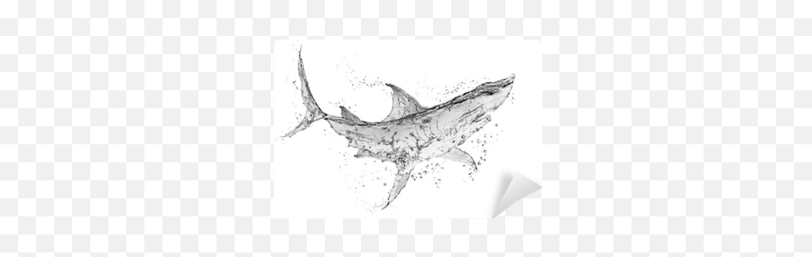 Shark Water Splash Isolate On White Background Wall Mural U2022 Pixers - We Live To Change Great White Shark Emoji,Shark Transparent Background