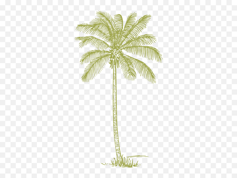 Green Palm Tree Silhouette Png Png - Palm Tree Png Purple Emoji,Palm Tree Silhouette Png