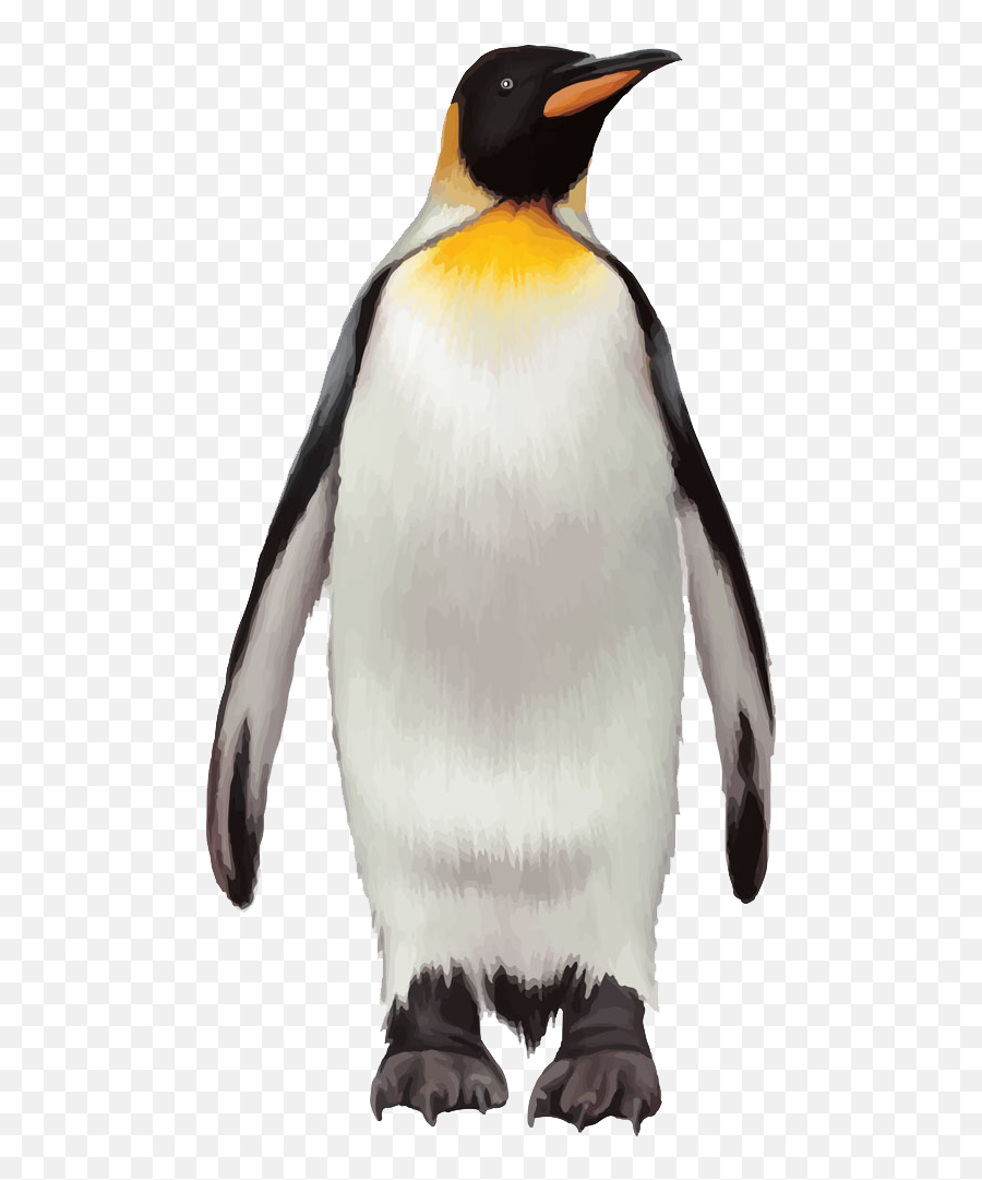 Penguin Transparent Background Png - Transparent Background Png Penguin Emoji,Penguin Transparent
