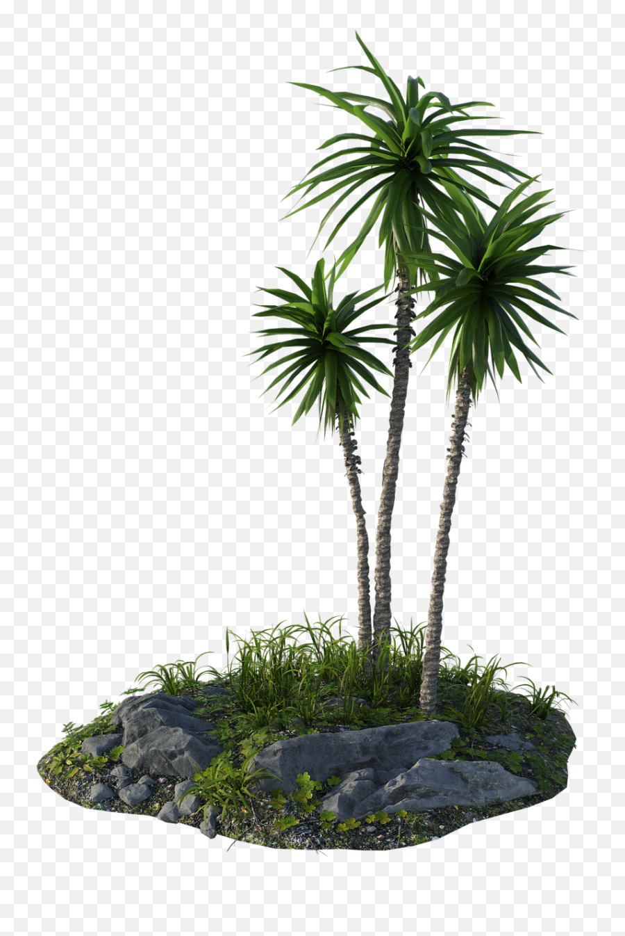 Jungle Foliage Rainforest - Free Image On Pixabay Emoji,Jungle Png