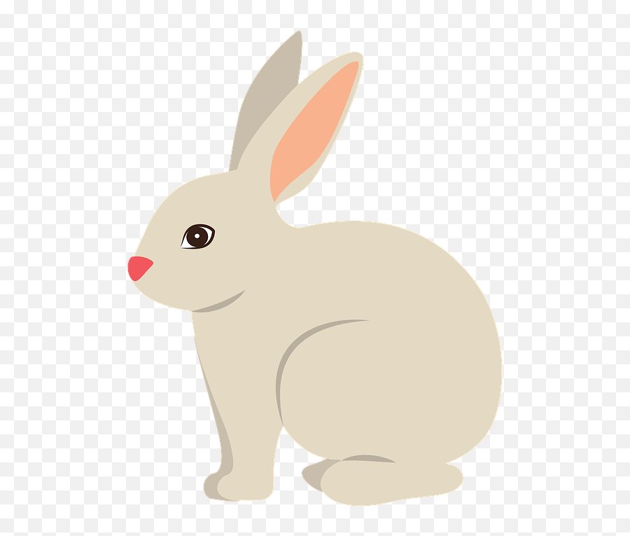 Free Photo Rabbits Pets Animals Cute - Gambar Kelinci Transparan Emoji,Bunny Transparent