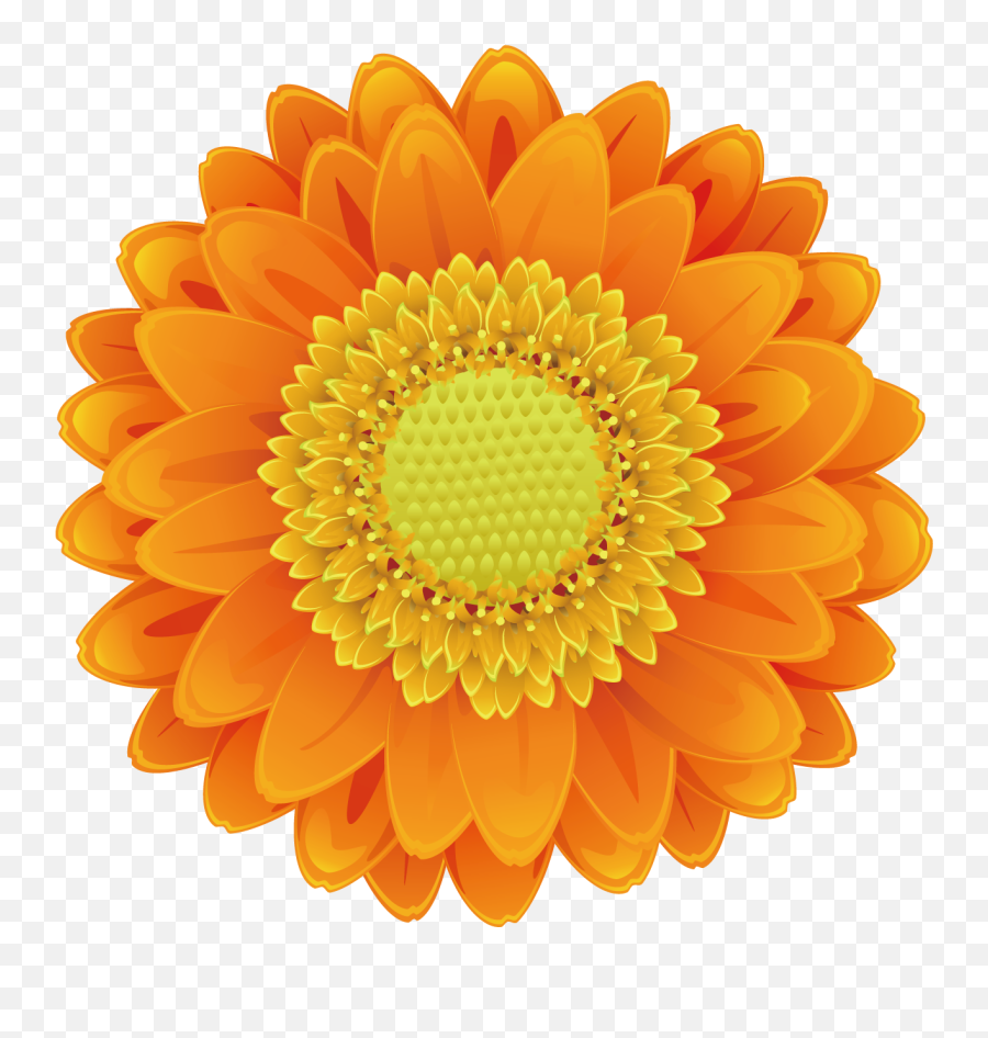 Sunflower Vector Png Emoji,Sunflower Vector Png