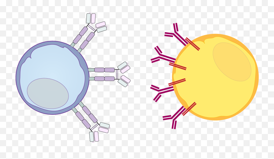 Escherichia Coli Clipart Yeast Infection - Animated Gif Dot Emoji,Animated Clipart