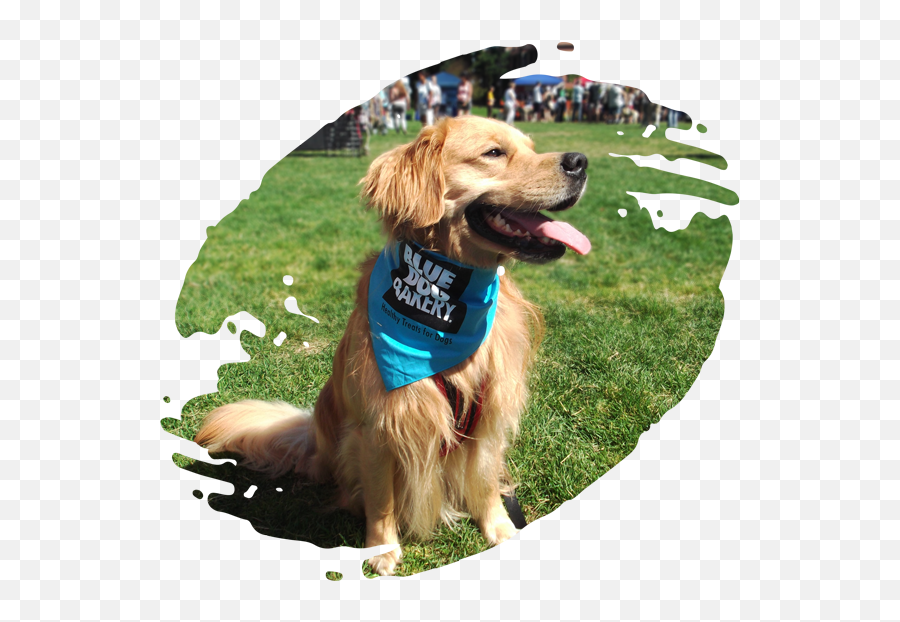 Blue Dog Bakery Emoji,Target Logo Dog