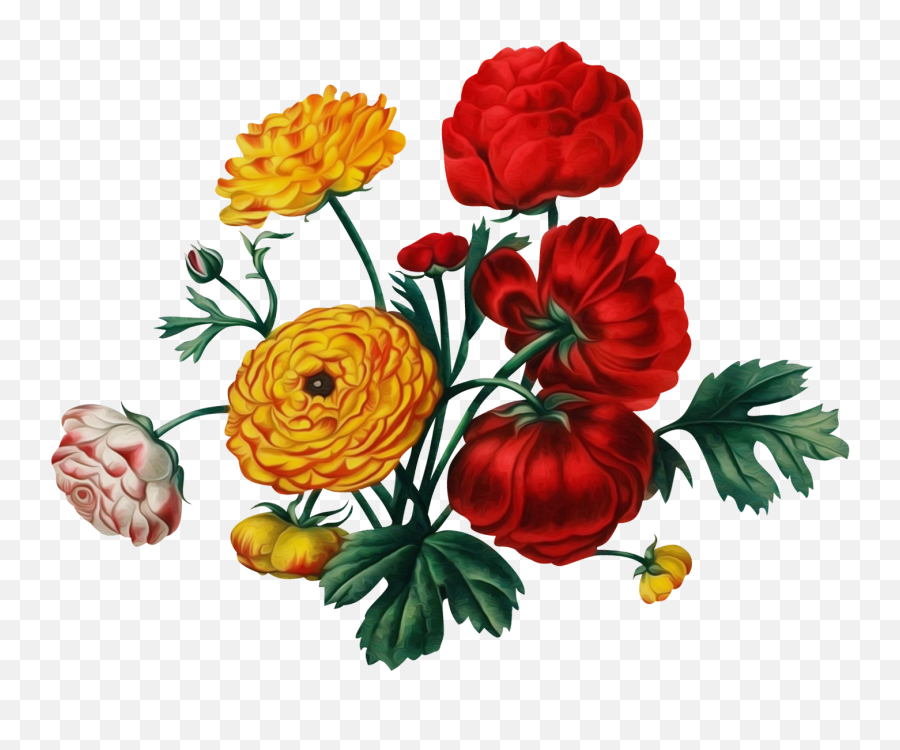 Pin By On Free Dot Com In 2021 Emoji,Marigolds Clipart