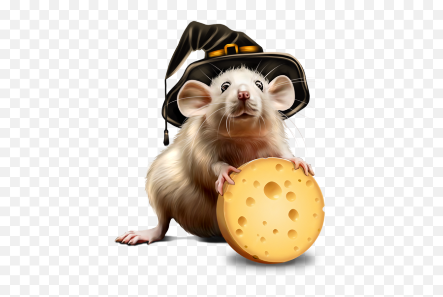 Download Mus Halloween Rat Computer Centerblog Boyard Mouse - Computer Mice Rat Icon Png Emoji,Rat Transparent Background