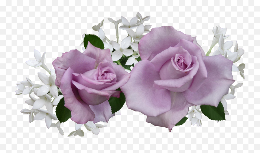 Mauve Rose With White Flowersmauve - Purple And White Flowers Transparent Emoji,White Flowers Png