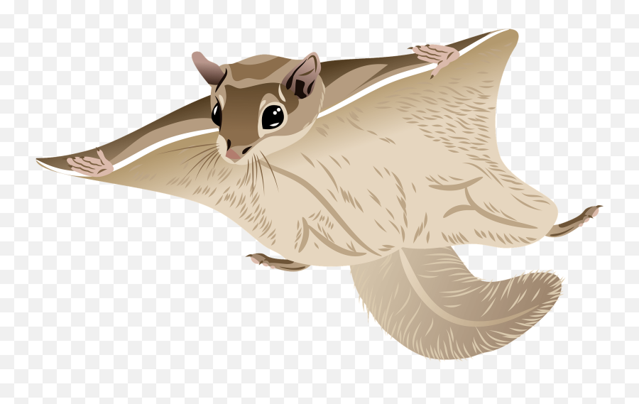 Woolly Flying Squirrel Clipart - Flying Squirrel Clipart Cute Emoji,Squirrel Clipart