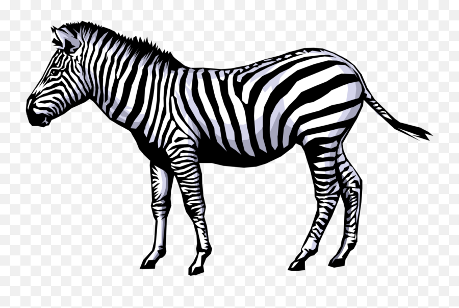 Zebra Clipart Full Hd - Zebra Clip Art Emoji,Zebra Clipart