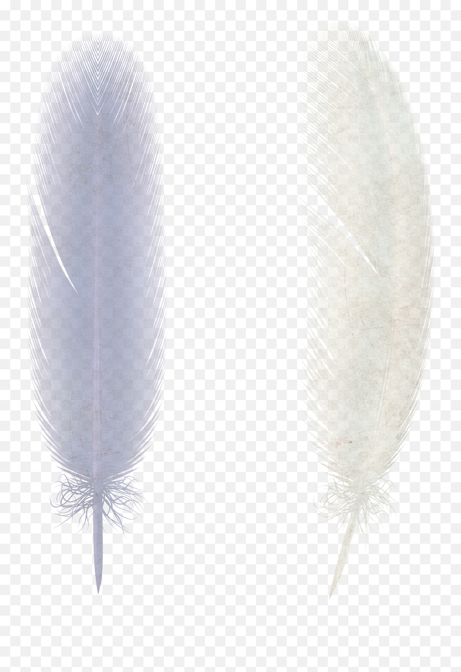 Feather Png Emoji,Feather Transparent Background
