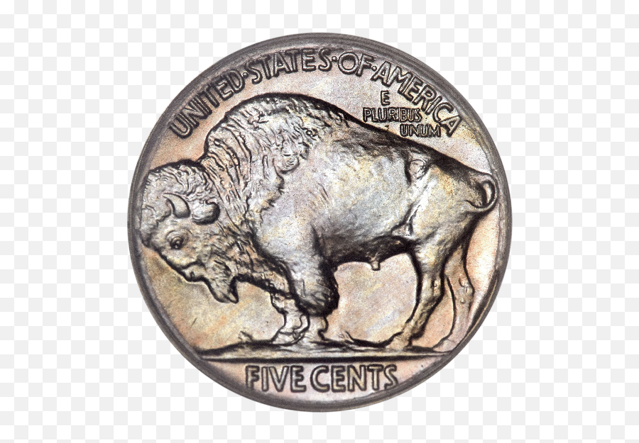 Transparent Facebook The Buffalo Coin Shop - Buffalo Nickel Five Cents Buffalo Emoji,Nickel Clipart