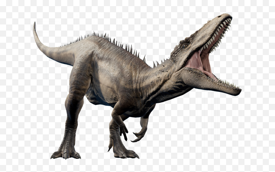 Carcharodontosaurus Jurassic World Evolution Wiki Fandom - Dinosaur Carcharodontosaurus Emoji,Evolution Png