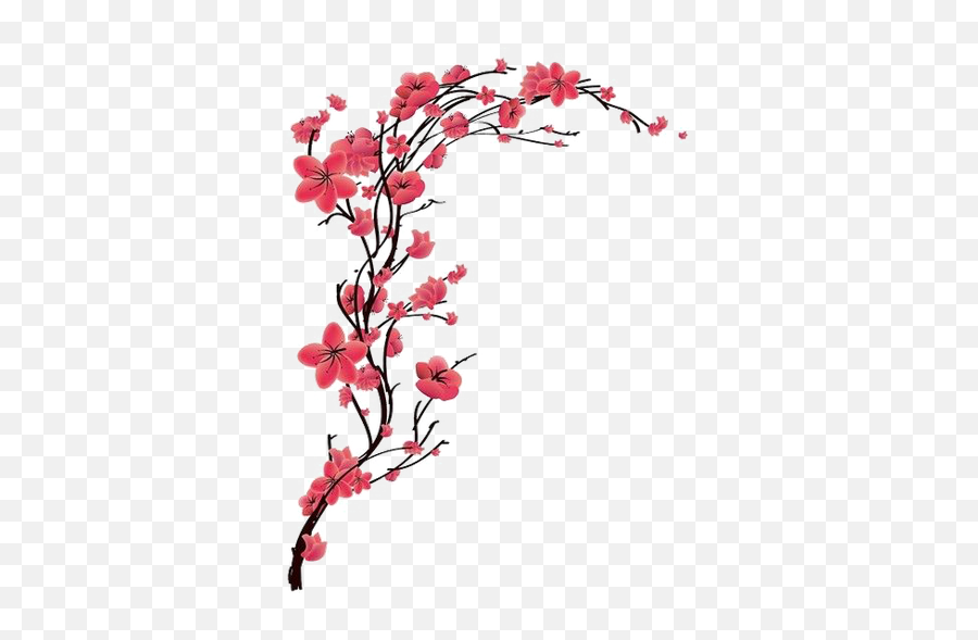 Download Blossom Cherry Peach Red Tattoo Free Transparent - Cherry Blossom Tattoo Designs Emoji,Cherry Blossom Transparent Background