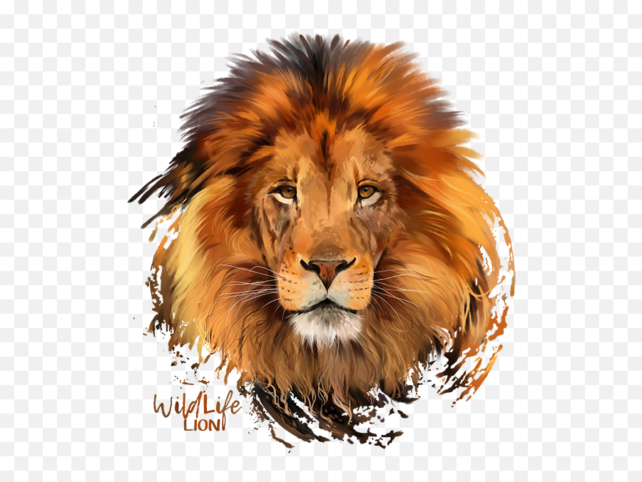 Lion Png Download Image - Lion Png Emoji,Lion Png