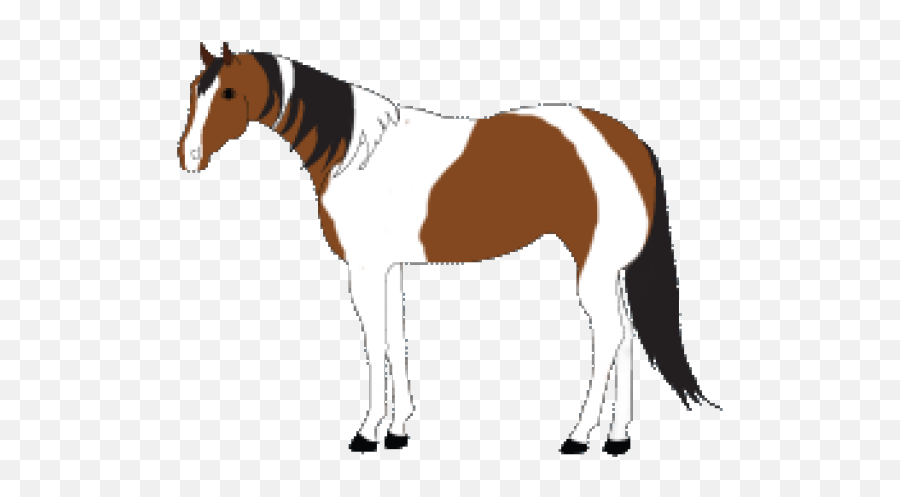 Paint Clipart Horse - Stallion Png Download Full Size Clipart Transparent Stallion Horse Emoji,Horse Clipart