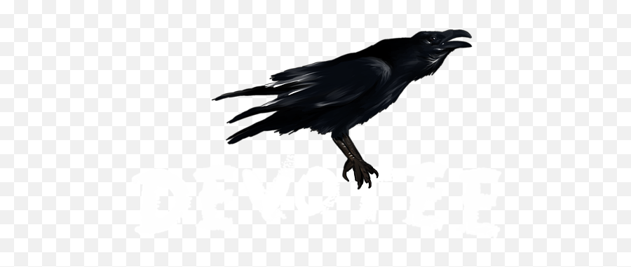 The Devoteeu0027s Crow With Background T - Shirt Emoji,Crow Transparent Background