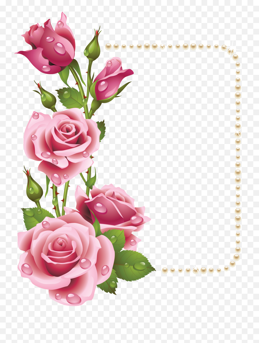Large Transparent Frame With Pink Roses And Pearls Flower - Pink Rose Flower Border Design Emoji,Flower Border Clipart