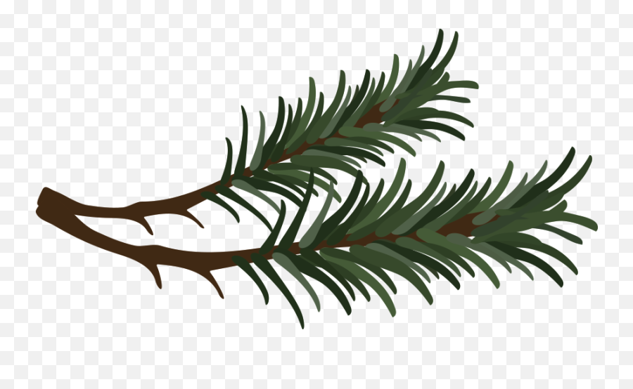 Download Branch Vector Pine Needle - Pine Needle Clipart Png Pine Branch Vector Png Emoji,Needle Clipart