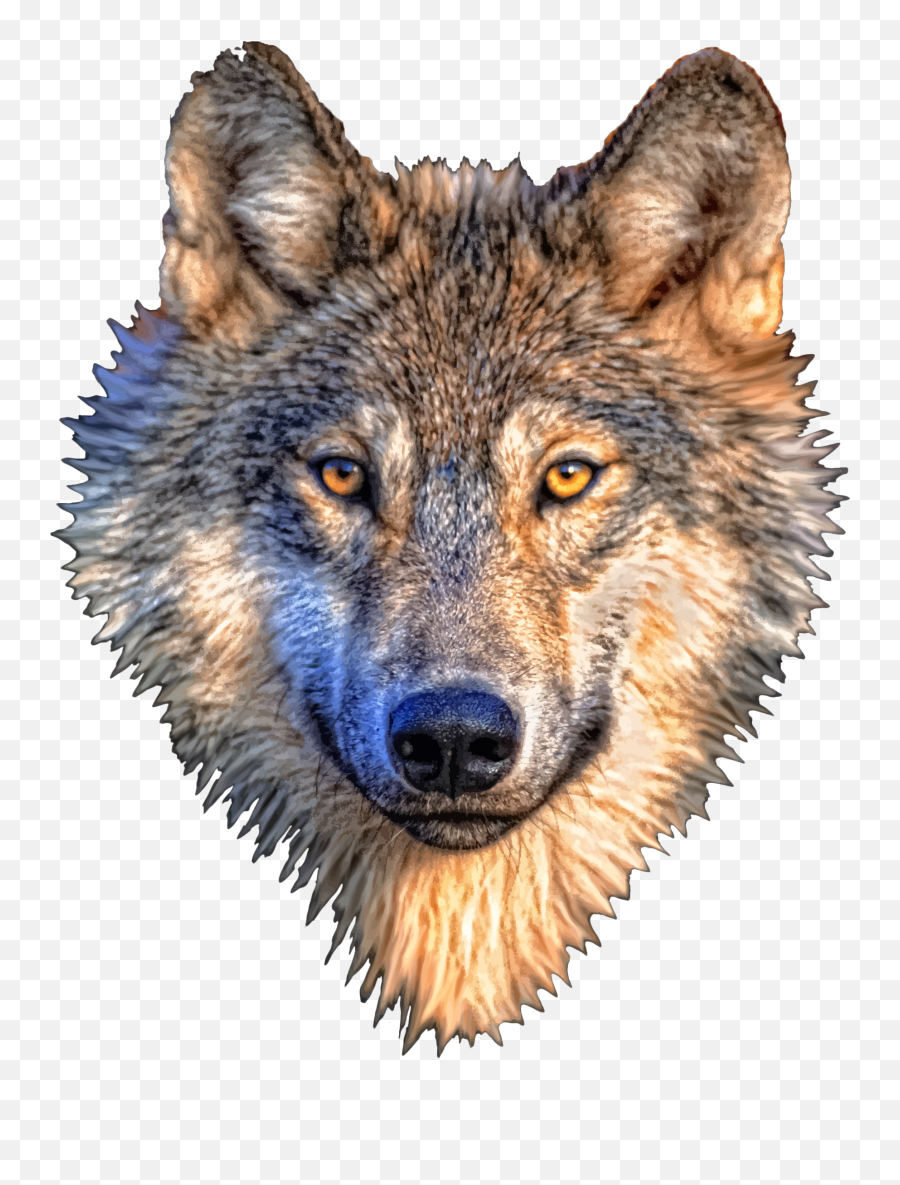 Gray Wolf T - Shirt Wolf Png Download 17642246 Free Transparent Wolf Head Png Emoji,Wolf Png