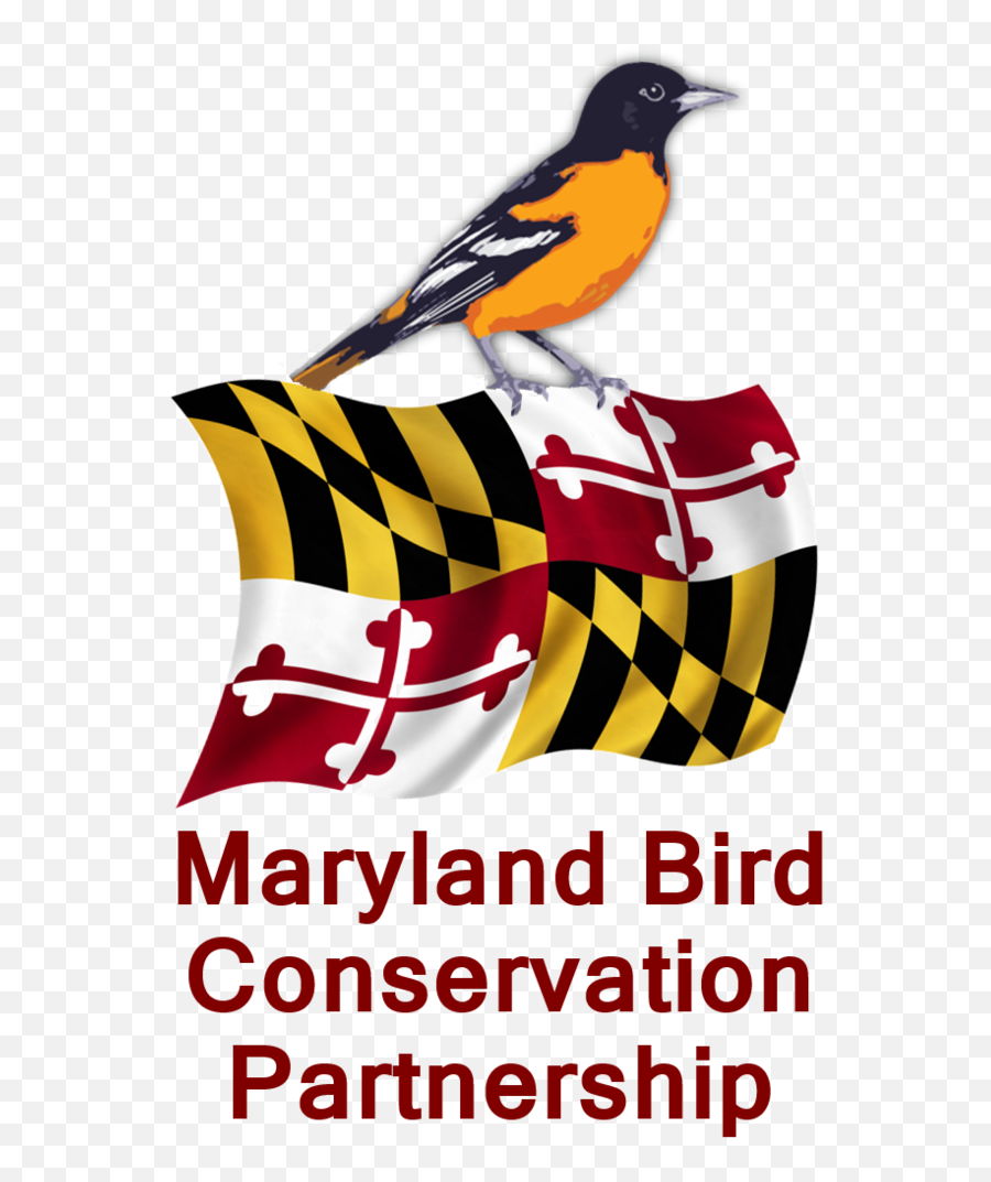 Maryland Bird Conservation Partnership Emoji,Bird Logo