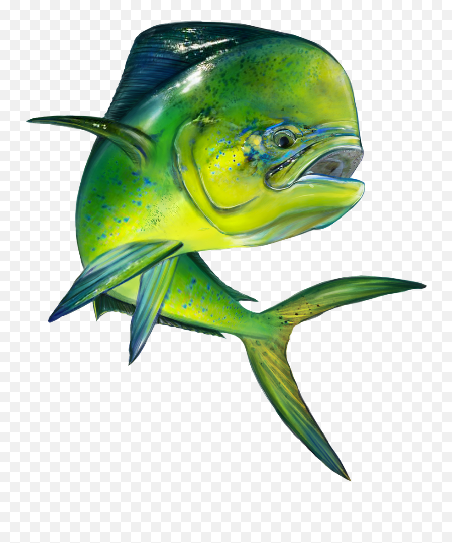 Pin By Ashley Dzuban On Tattoos Fish Drawings Fish Art - Drawing Mahi Mahi Jumping Emoji,Bass Fishing Clipart