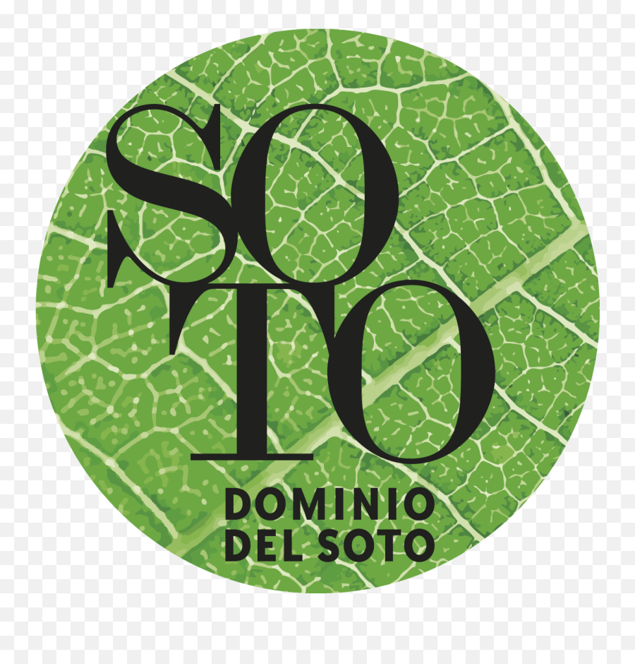 Maison Emoji,Domino Logo
