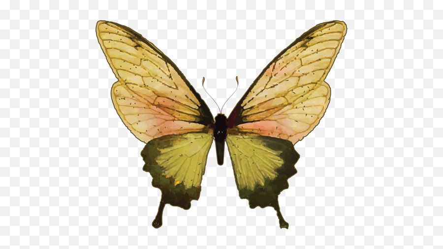 Badass Butterfly Coaching Wwwcrystallynnbellcom - Butterflies Emoji,Butterfly Logo