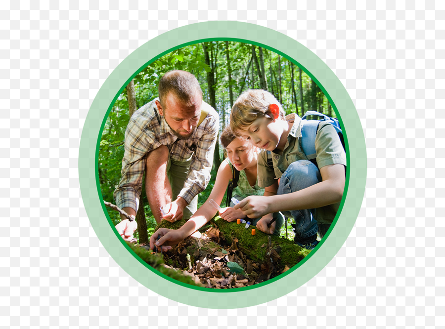 Learn About Forests - Project Learning Tree Emoji,Transparent Forest