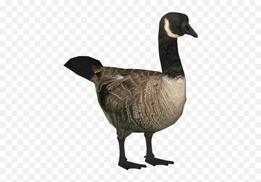 Download Goose Clipart Hq Png Image - Goose Png Emoji,Goose Clipart