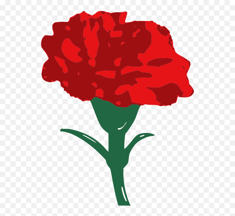 Carnation - Carnation Flower Clipart Emoji,Worker Clipart