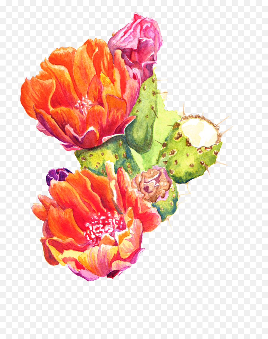 Watercolors U2014 Europa Annalise Design Emoji,Watercolor Cactus Png
