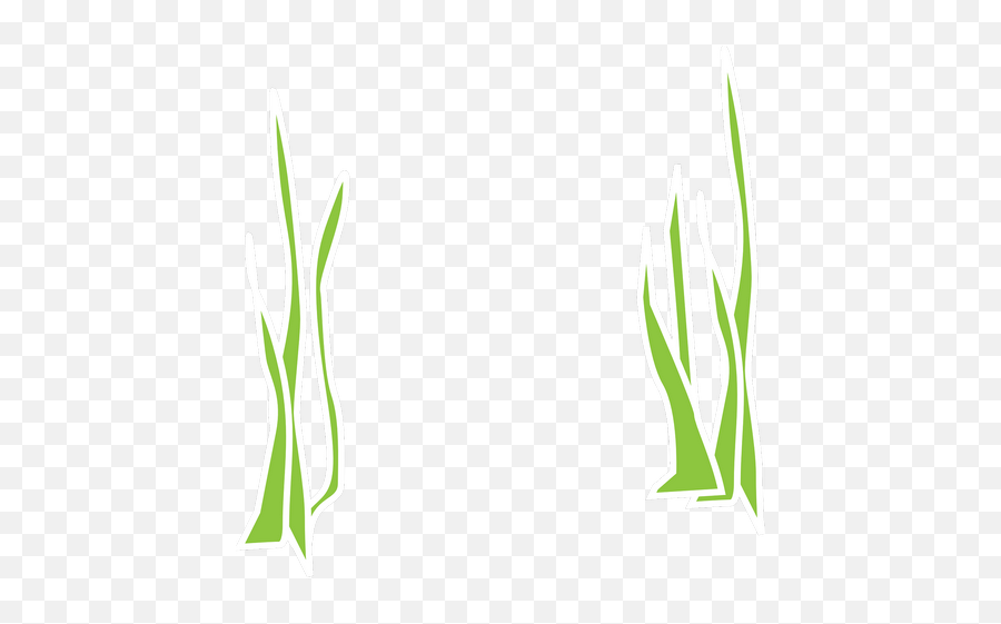 Seaweed Aqua Flora Marine Reeds Transparent Png Images Emoji,Seaweed Clipart