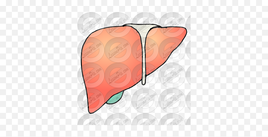 Liver Picture For Classroom Therapy - Horizontal Emoji,Liver Clipart