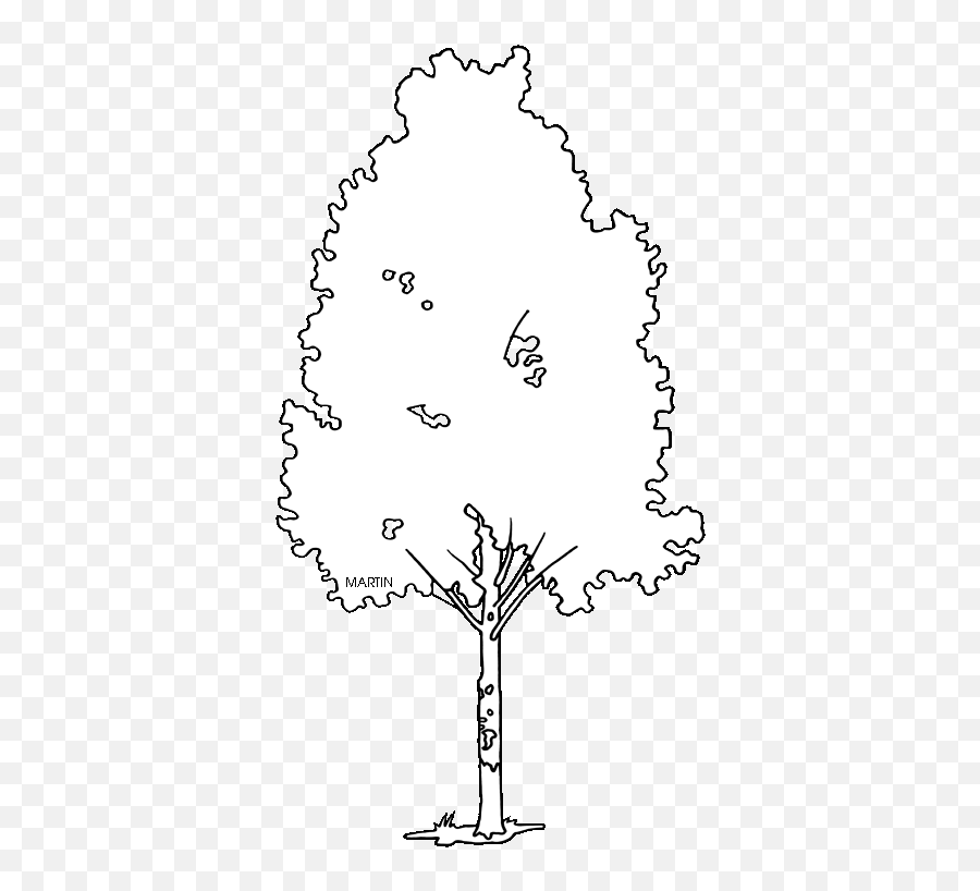 United States Clip Art By Phillip Martin State Tree Of New Emoji,Birch Tree Clipart