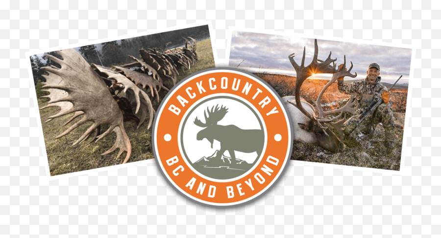 Backcountry Bc And Beyond Sheep Goat Moose Bear Outfitter Emoji,Goat Horns Png