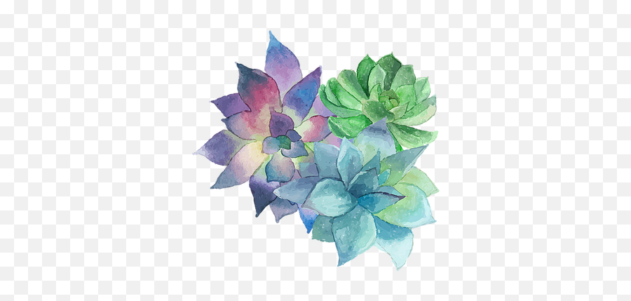 About Us New Garden - Echeveria Emoji,Succulent Clipart